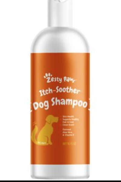 The Best Dog Shampoo in 2023