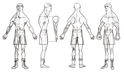 Cartoon boxer Blueprint - Download free blueprint for 3D modeling ...