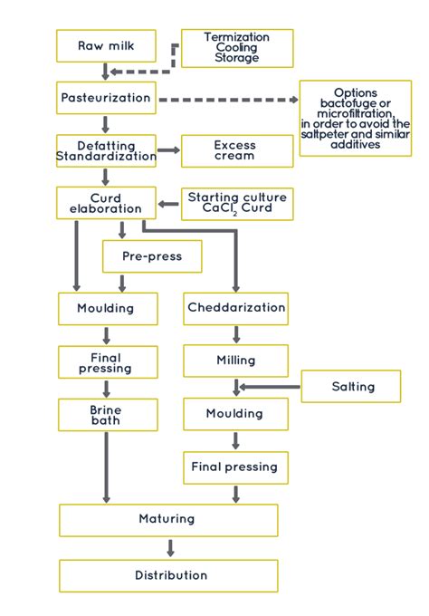 Cheese Making: Basic concepts - Concentrol