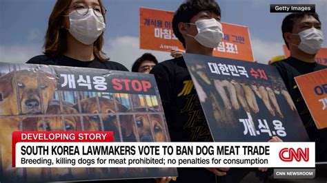 South Korean lawmakers vote to ban dog meat trade | CNN