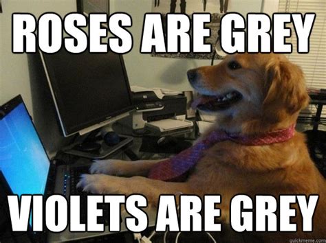 Roses are grey Violets are grey - Valentines Dog - quickmeme