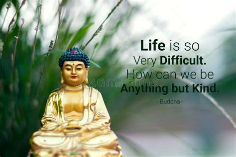 214 Buddha Quotes Stock Photos - Free & Royalty-Free Stock Photos from ...