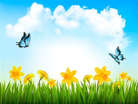 Spring background, Outdoor, Butterflies, Daffodils, Grass, Flowers, HD wallpaper | Peakpx