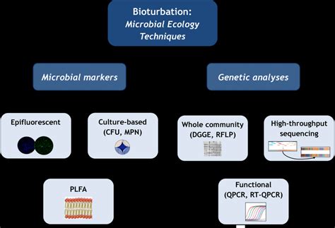 3 Microbial ecology techniques previously used in bioturbation studies ...