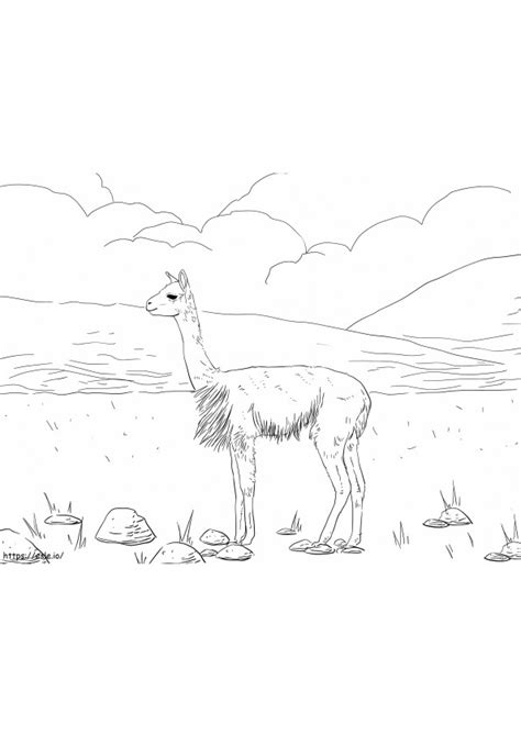 South America Vicuna coloring page