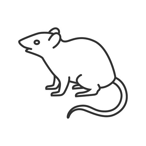 Mouse, rat linear icon. Rodent. Thin line illustration. Pest. Contour symbol. Vector isolated ...