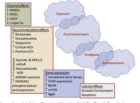 Figure 1 from Ketamine – More mechanisms of action than just NMDA ...