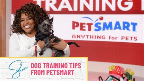 How Long Is Petsmart Puppy Training