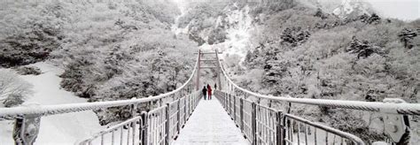 3 Reasons Why You Should Visit Jeju Island In Winter - Trazy Travel Blog