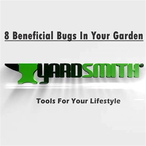 8 Beneficial Bugs In Your Garden - Yardsmith®