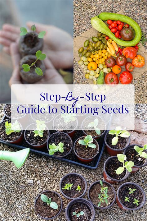 The Basics of Growing from Seed