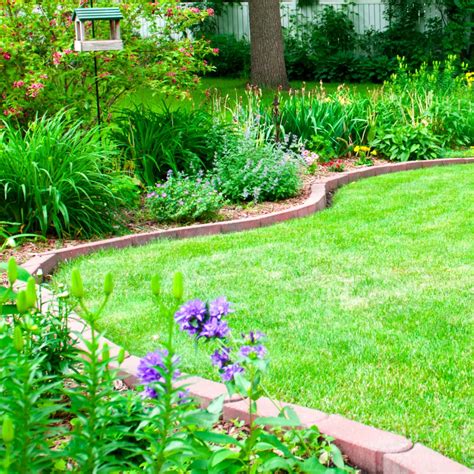 15+ Backyard Landscaping Ideas on a Budget That You NEED to Know ...