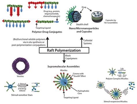 Functional RAFT Polymers for Biomedical Applications