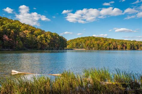 Early Autumn Color at Greenbrier Lake, at Greenbrier State Park in Maryland Stock Photo - Image ...