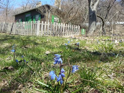 Earth Day at Todmorden Mills