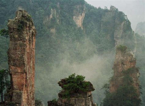 Zhangjiajie National Forest Park (Wulingyuan) | Zhangjiajie, Forest ...