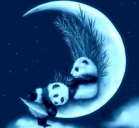 Pandas in love - Bears & Animals Background Wallpapers on Desktop Nexus (Image 2074944)