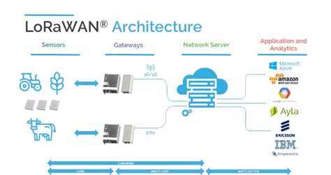 LoRaWAN Network Explained with Cases | TEKTELIC