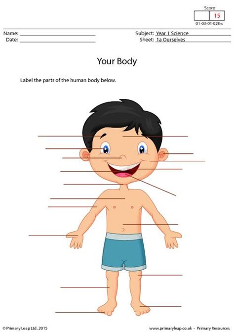 label the body parts worksheet education com - label the body parts ...