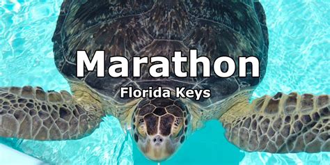 8 Best Things To Do in Marathon Florida - Avrex Travel