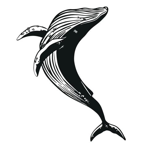 Whale vector hand drawn illustration. 21306126 Vector Art at Vecteezy