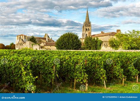 Sunny Landscape of Bordeaux Vineyards in Saint Emilion in Aquitaine ...