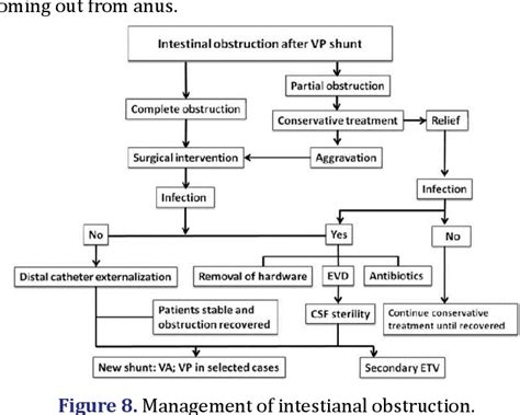 Figure 1 from Abdominal Complications of VP Shunt in Pediatric Patients | Semantic Scholar