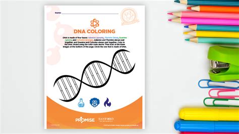 Dna Coloring Pages