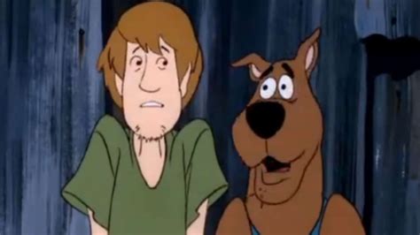 Shaggy voice actor confirms popular Scooby-Doo character is not a ...