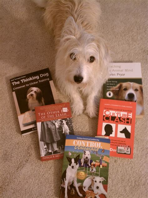 Reactive Champion: My Favorite Dog Training Books