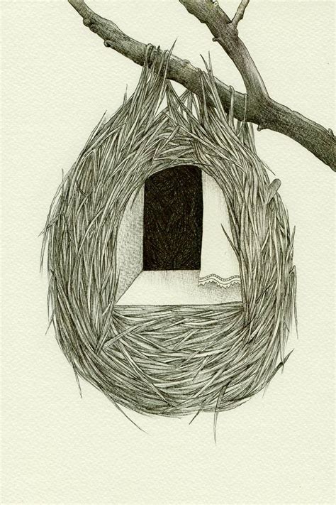 A simple nest Drawing by Andromachi Giannopoulou | Saatchi Art