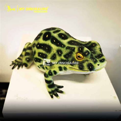 FDF-057 Life Size Fiberglass Devil Frog Statue | My Dinosaurs