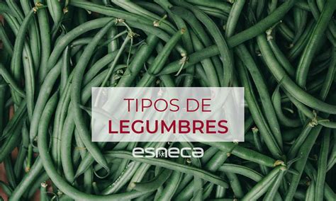 Tipos de Legumbres y sus Propiedades Nutricionales - Esneca