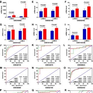 Expression and survival analysis of the laminin gene family in TCGA... | Download Scientific Diagram