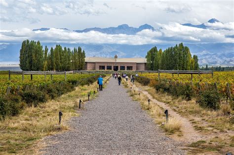 Best Things to do in Mendoza, Argentina | Earth Trekkers