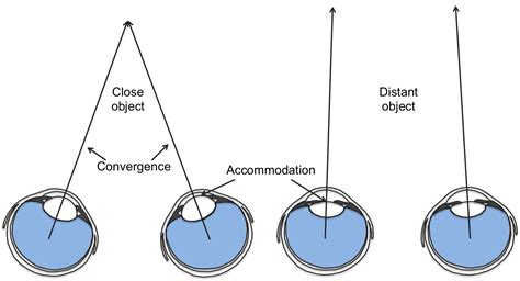 Interposition Monocular Cues