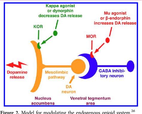 Figure 2 from Development of κ opioid receptor antagonists. | Semantic Scholar