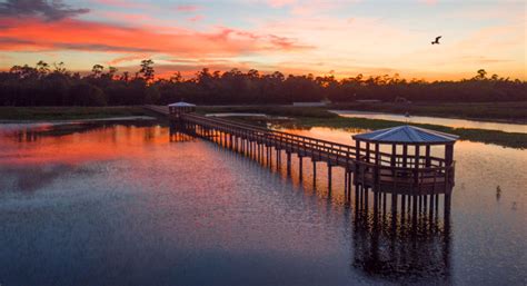 Cattail Marsh features new boardwalk - Visit Port Arthur Texas