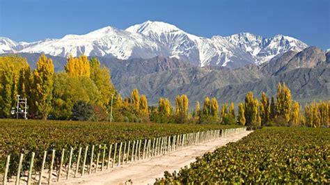 Top 5 Things to Do in Mendoza, Argentina - David's Been Here
