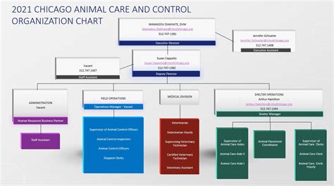 Animal Shelter Organization Chart