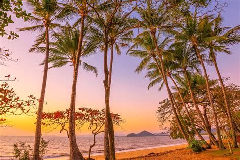 Palm Cove beach, Queensland, Australia Queensland Australia, Australia ...