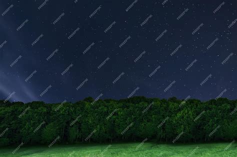 Premium Photo | Night forest background night starry sky night sky with ...