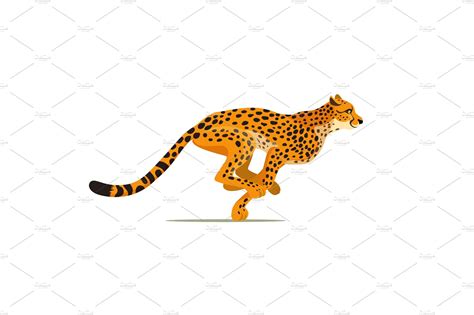 Gepard running. Cheetah animal – MasterBundles