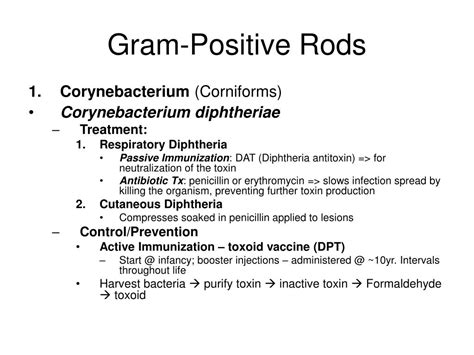 PPT - Chapter 10: Gram-Positive Rods PowerPoint Presentation, free ...