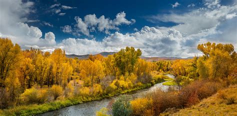 Cottonwood Creek Colorado Fall Colors - Lewis Carlyle Photography