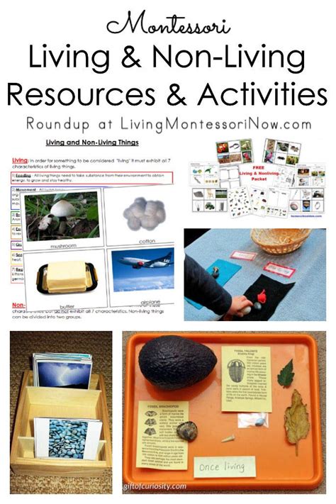 Montessori Living and Non-Living Resources and Activities