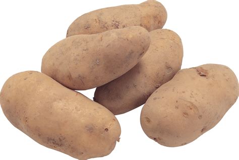 Potato png images, pictures, free download