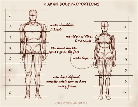 How To Draw Body Proportions - Approvaldeath13