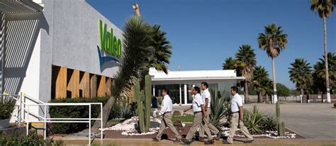 Our presence, activities and job offers in Mexico | Valeo