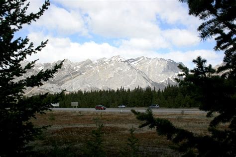 Construction begins on a new wildlife overpass in Alberta - Yellowstone to Yukon Conservation ...